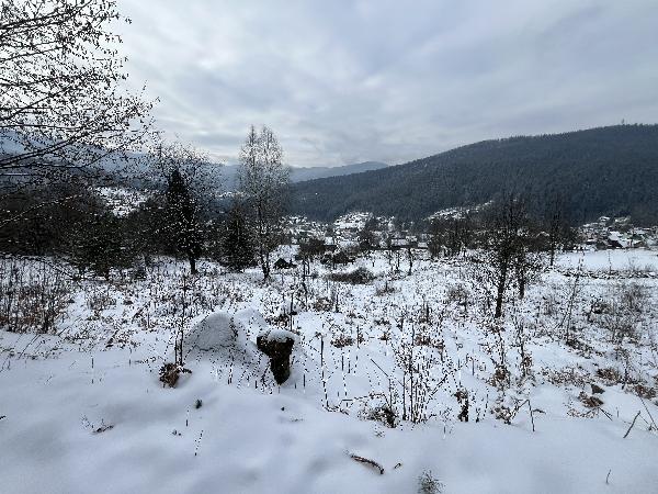  - фото нерухомості